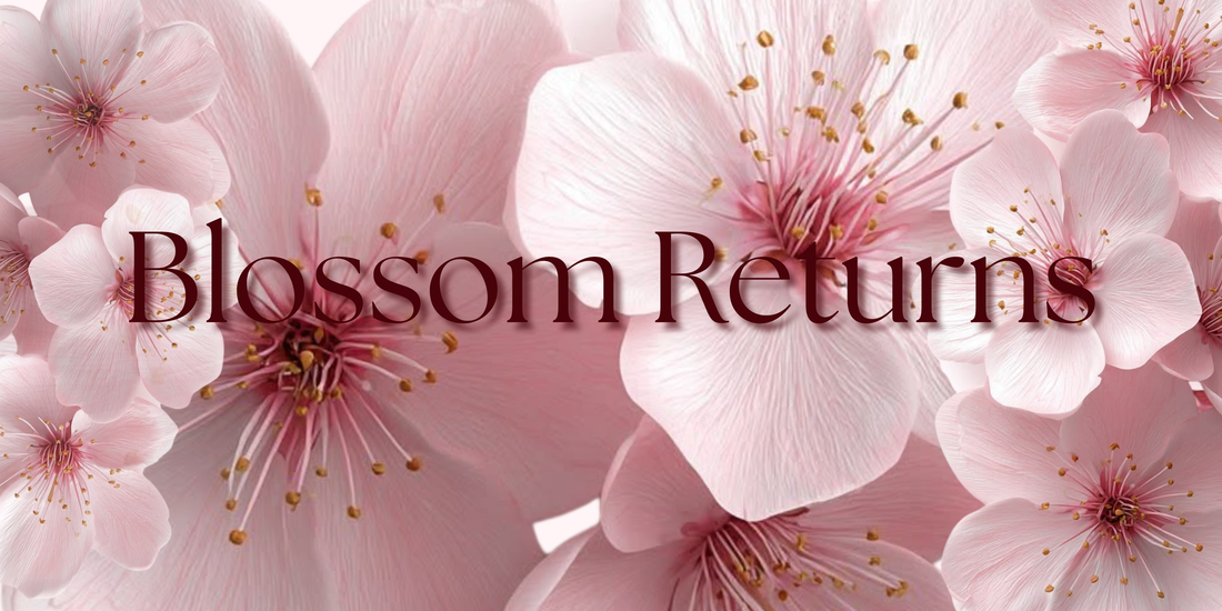Blossom Returns: A Fresh Take on a Murph & Murph Favourite