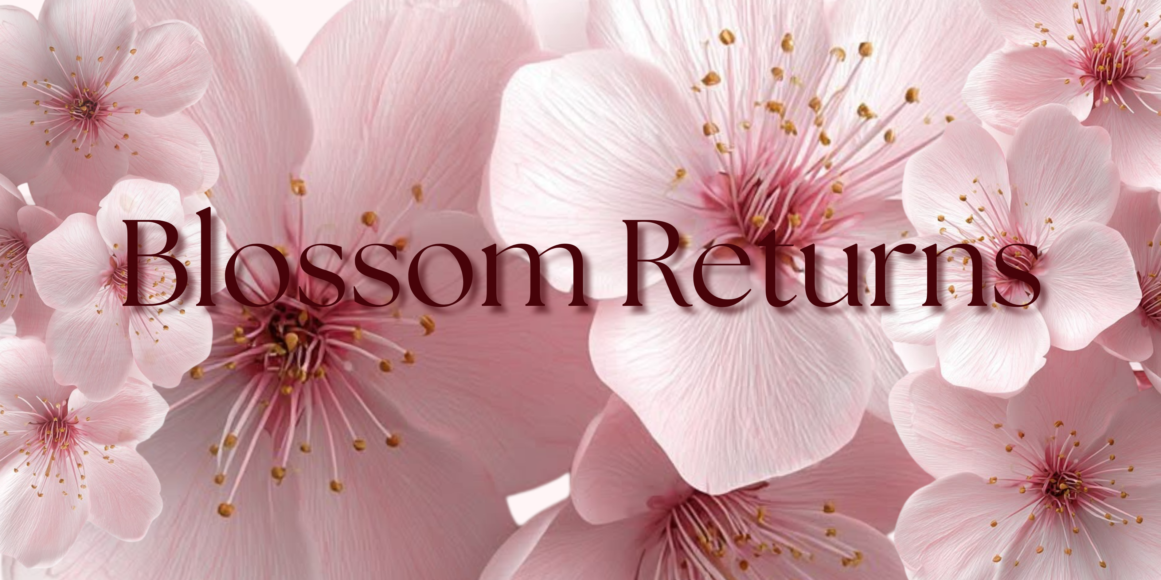 Blossom Returns: A Fresh Take on a Murph & Murph Favourite
